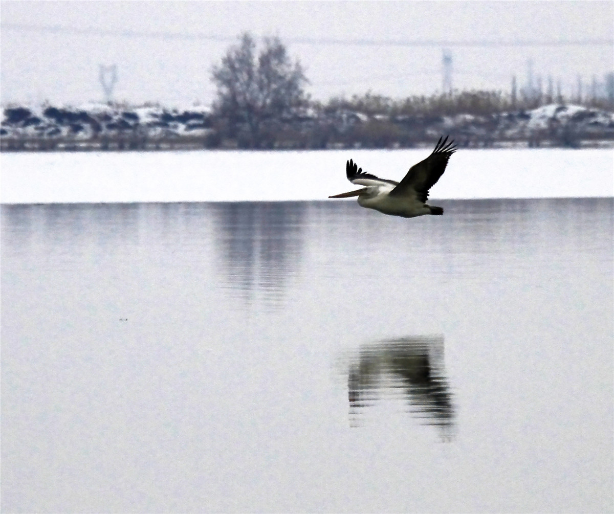 ���� (2).jpg