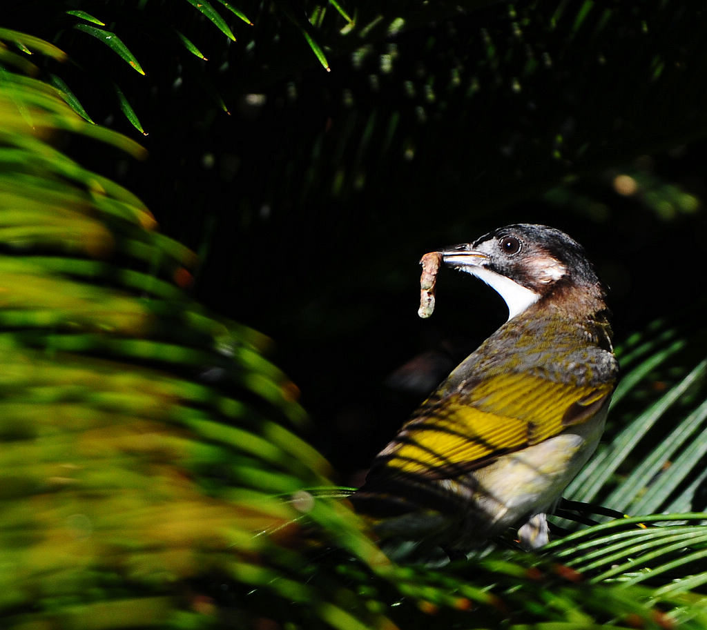 DSC_0715  13.jpg