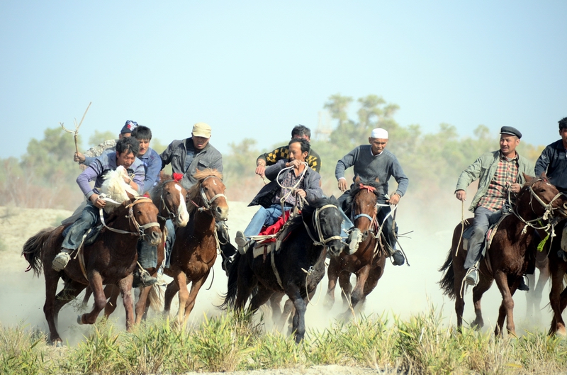 ����3  ������