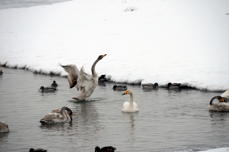 ����  ������