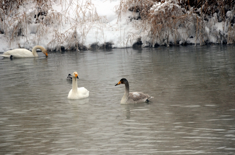 ����  ������