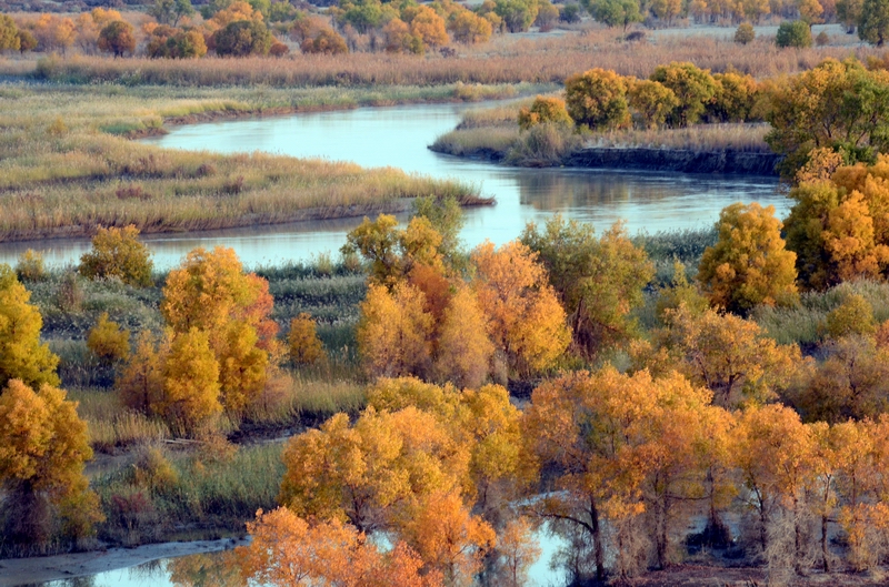 ���ݺ���2   ������