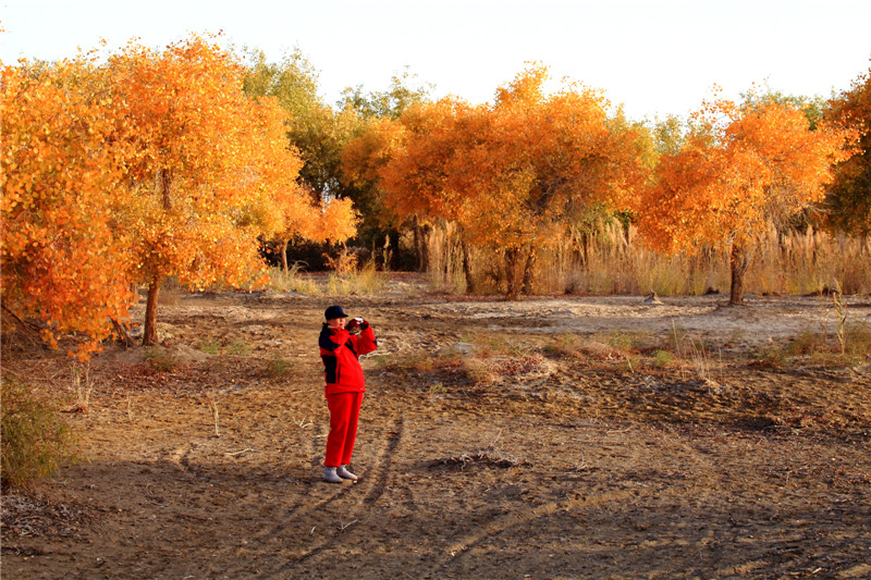 ���� (1).jpg