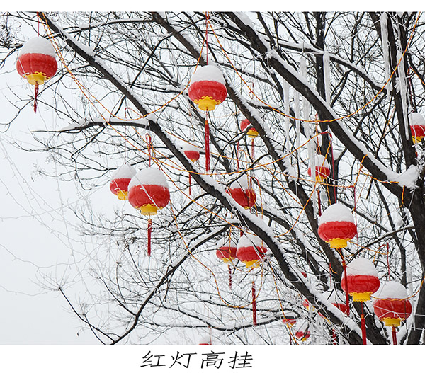 2014��2��6�յ�һ��ѩ��Ƭ2 ����01712.jpg