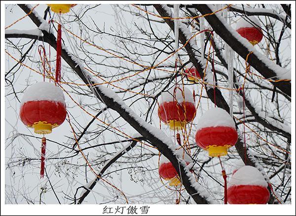 2014��2��6�յ�һ��ѩ��Ƭ2 ����01512.jpg