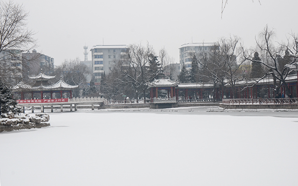 2014��2��6�յ�һ��ѩ��Ƭ 0491.jpg