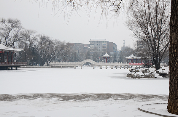 2014��2��6�յ�һ��ѩ��Ƭ 0521.jpg