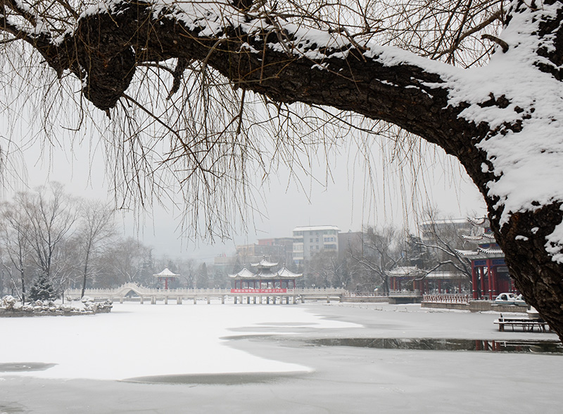 2014��2��6�յ�һ��ѩ��Ƭ 0771.jpg