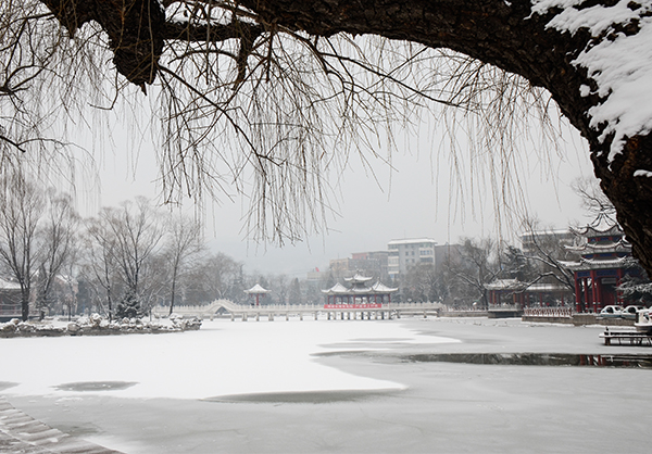 2014��2��6�յ�һ��ѩ��Ƭ 0781.jpg