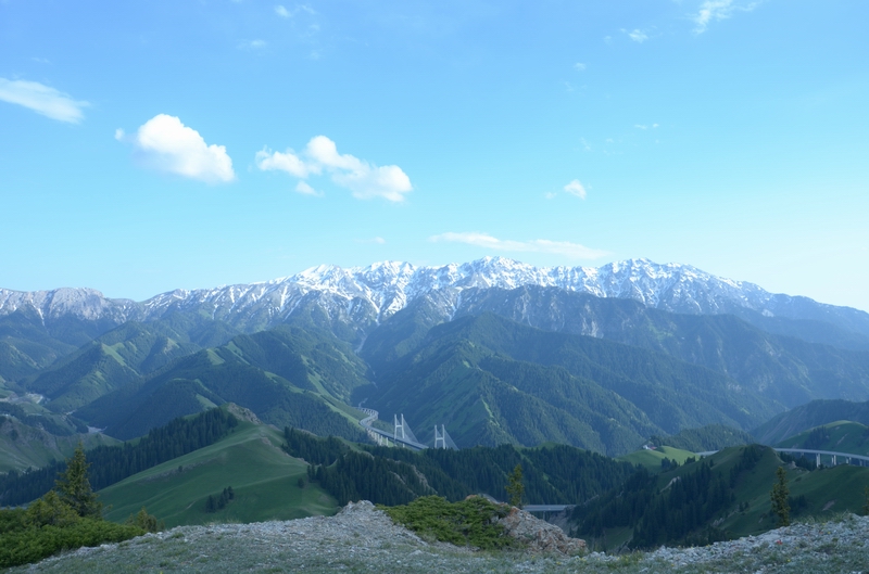 ������  ������