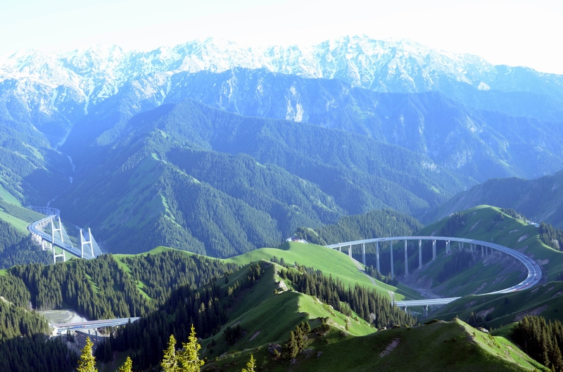 ŷ����  ������