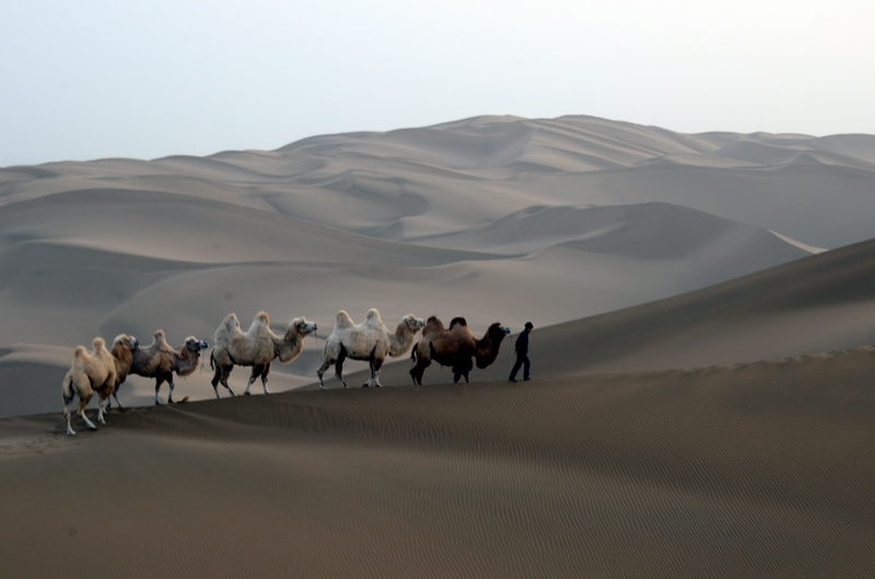 ɳĮ��  ������