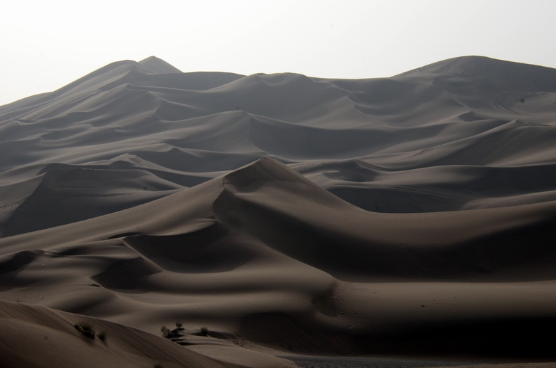 ɳĮ��  ������