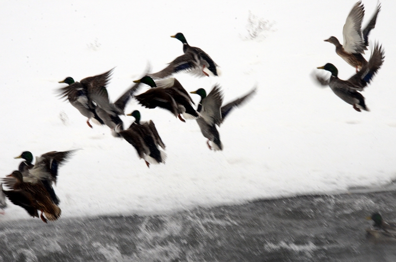 ���   ������