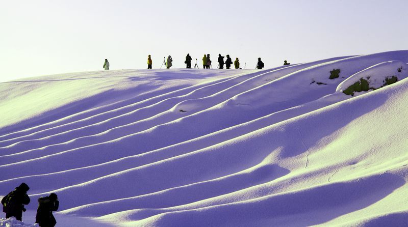 ����������