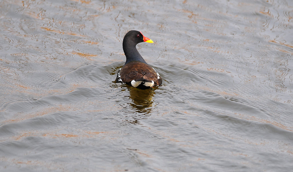 DSC_3543.jpg