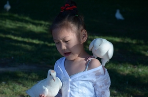 ����    ������