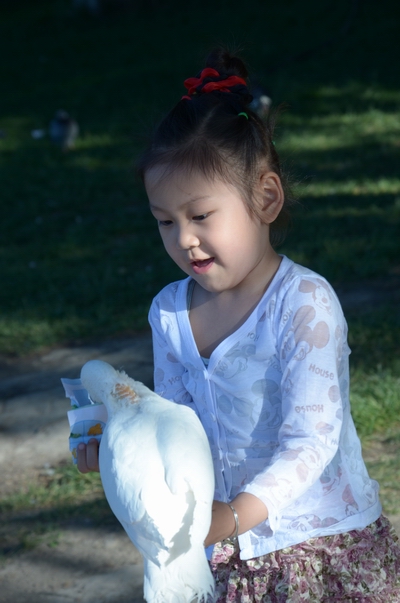 ι    ������