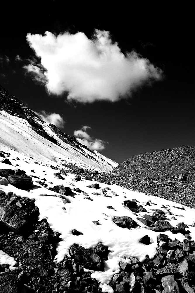 ���� _MG_4686.jpg