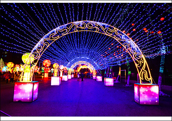 2014��2��11���Ŀ��չ��Ƭ3 ����0791.jpg