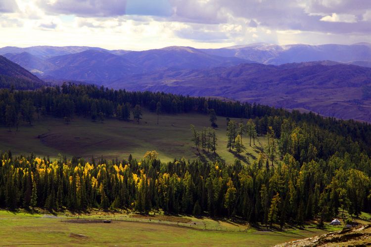 ����˹��ɫ