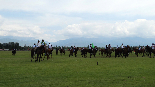 «�ݹ�����������Ӱ (64).jpg