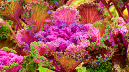 c ����֮��-4 (27).jpg