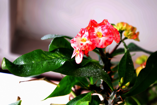 24�� ����Ч��ͼ (6).jpg