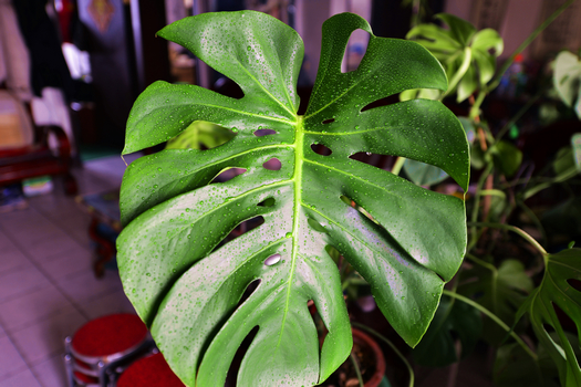 24�� ����Ч��ͼ (7).jpg