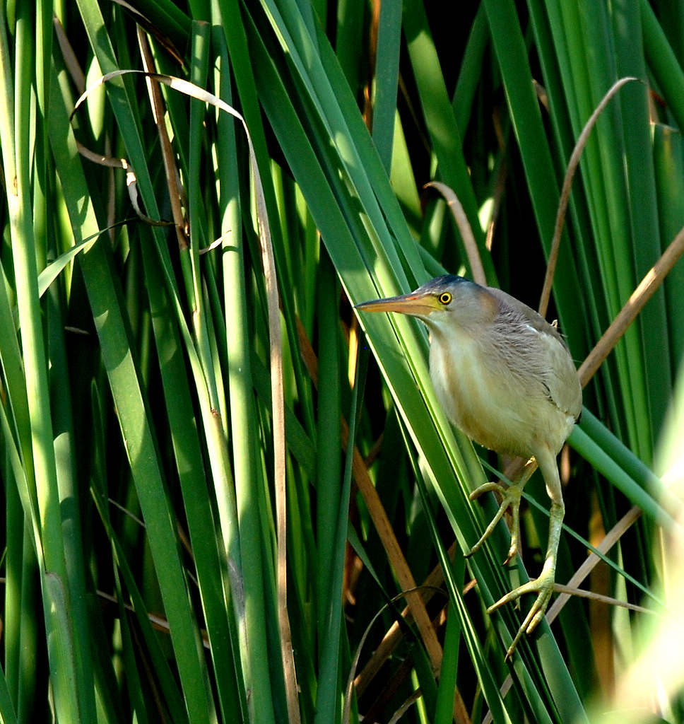 2DSC_0506.jpg