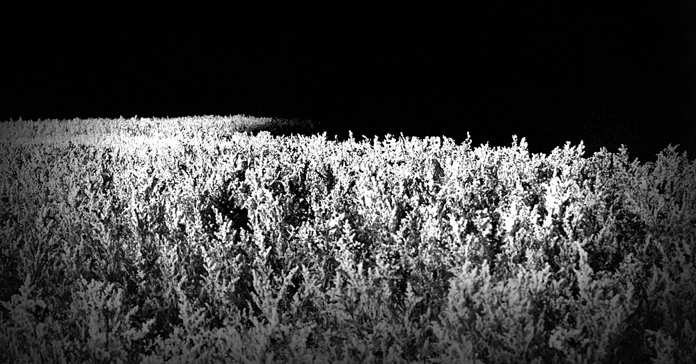 ���� IMG_4809.JPG