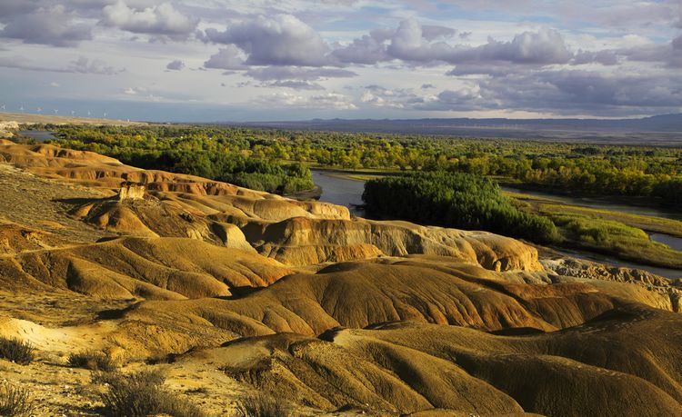 �����ɫ��