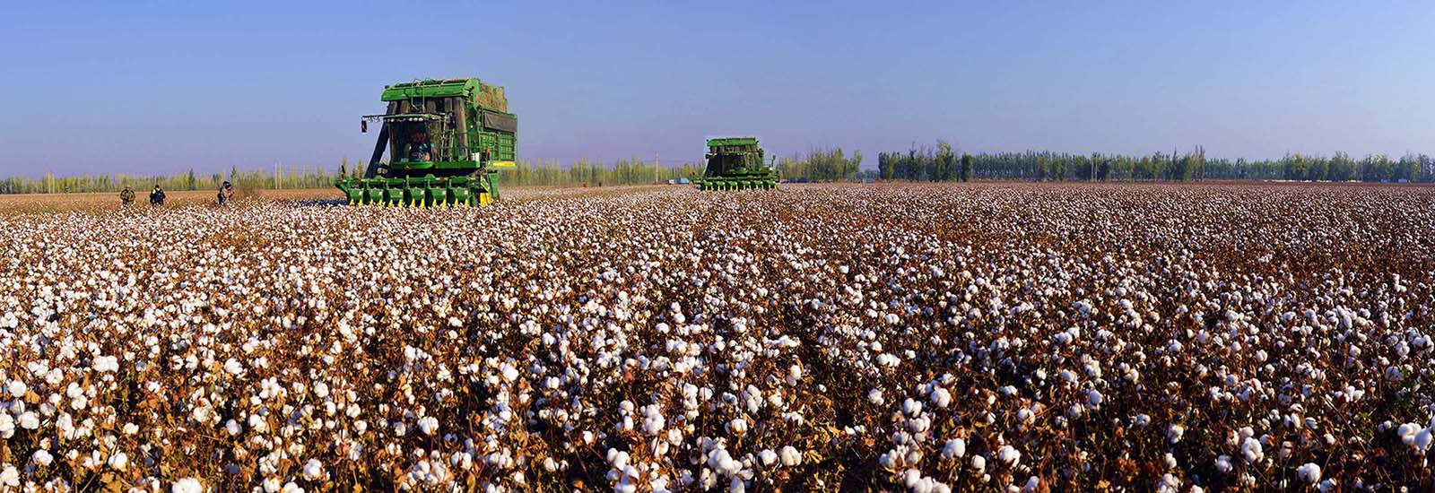 �ջ񼾽ڵ��½��������� (1).jpg