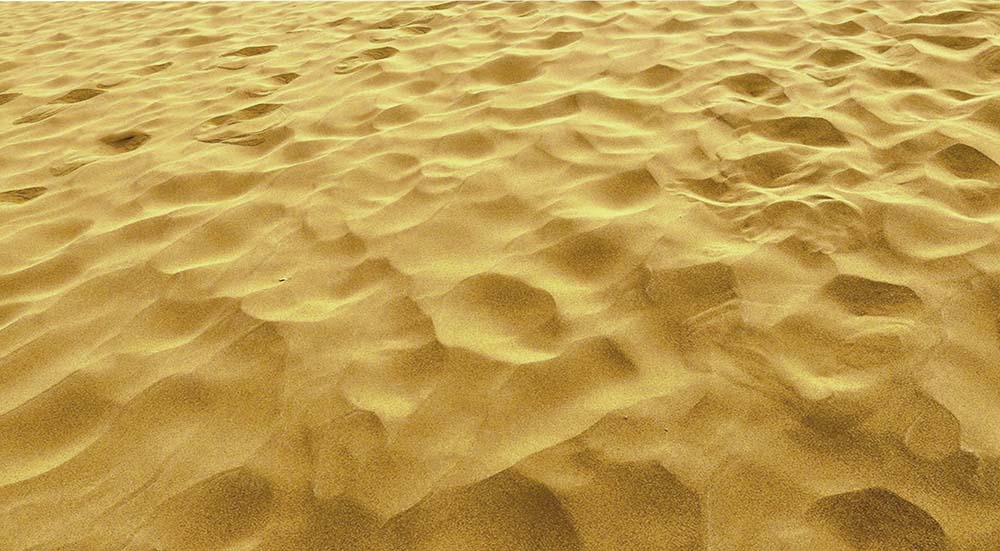 �߽���ľ���� ɳĮ���� �� (2).jpg