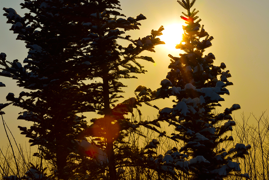 ����ů��