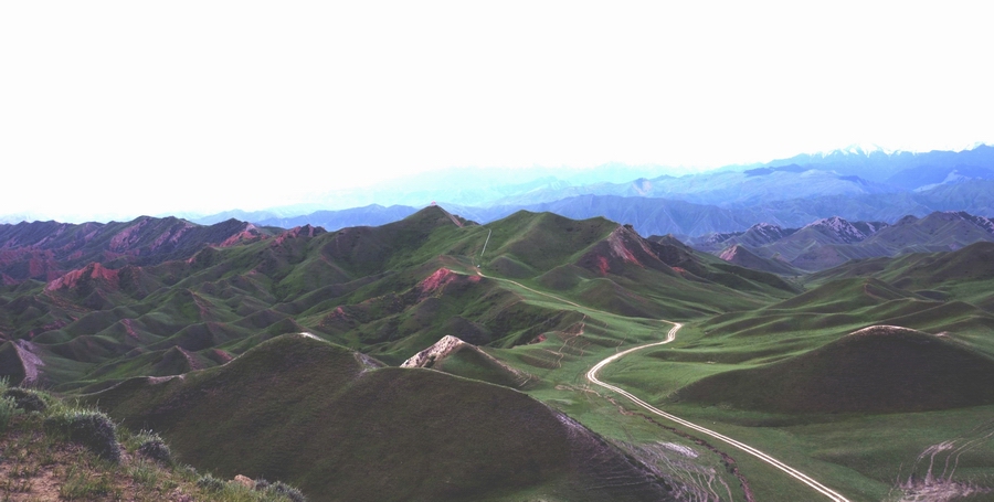 ����   ������