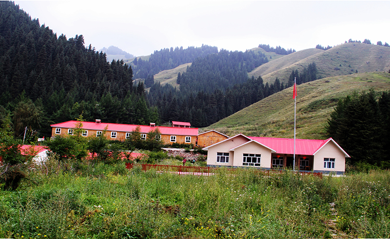 ��԰������