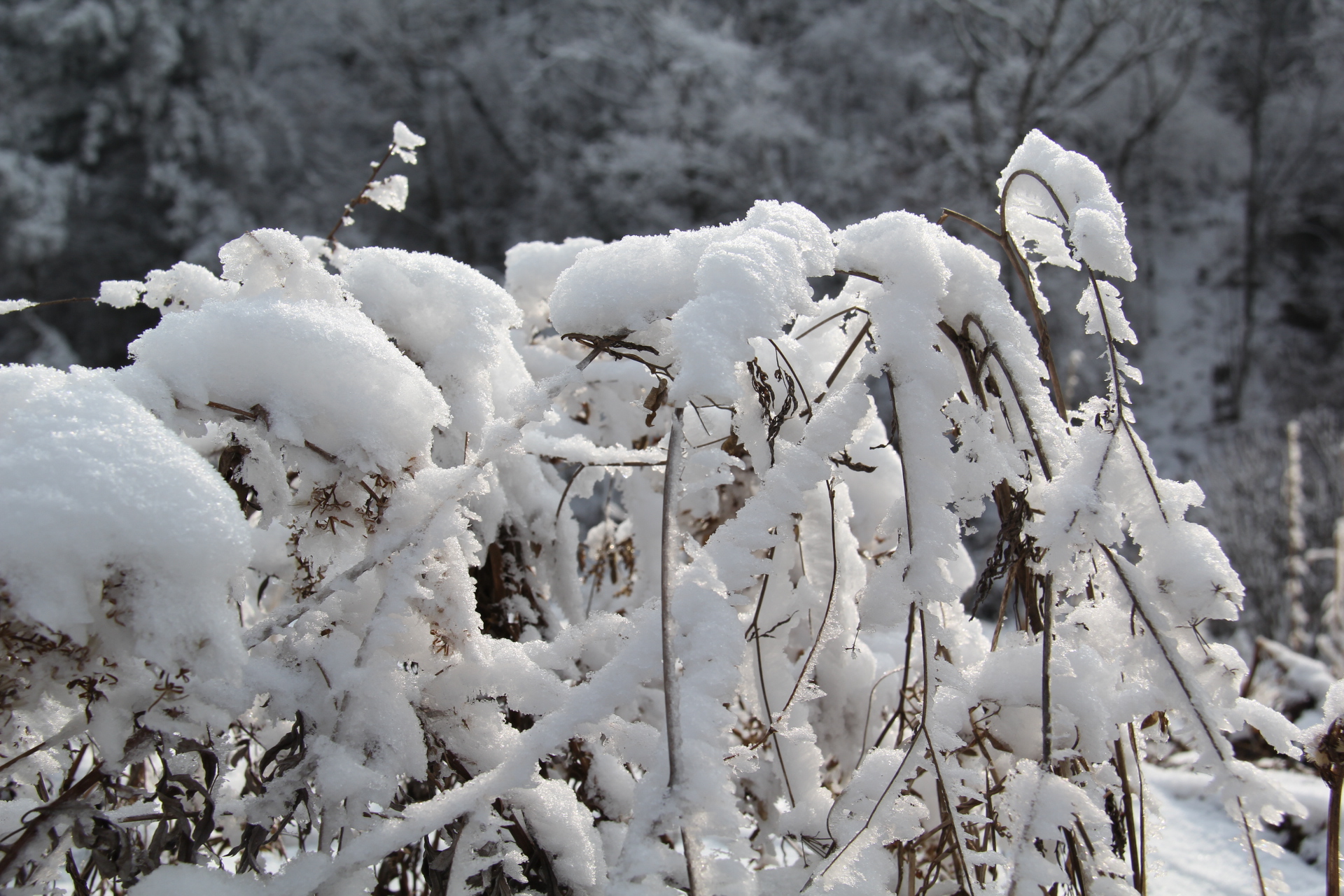 ����Ӣ�۾�����