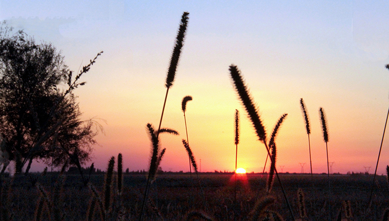 Ϧ�������µ�����С��