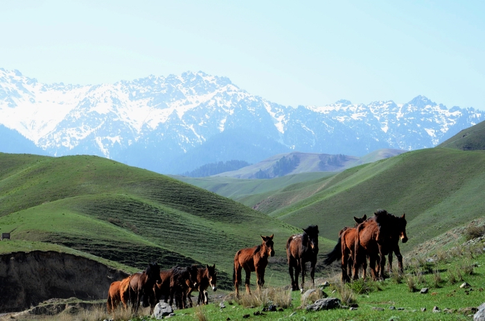 ����   ������