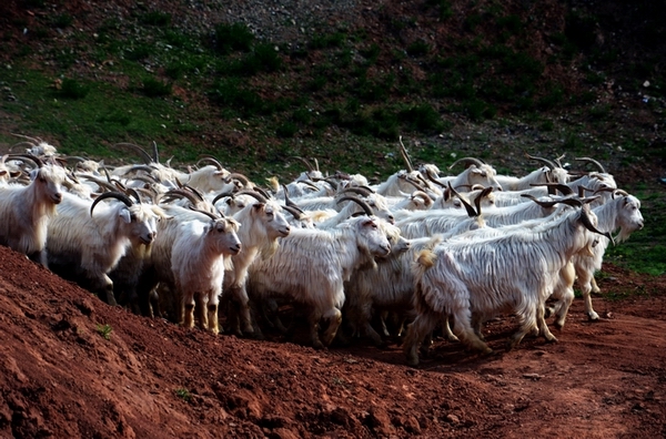 ����   ������