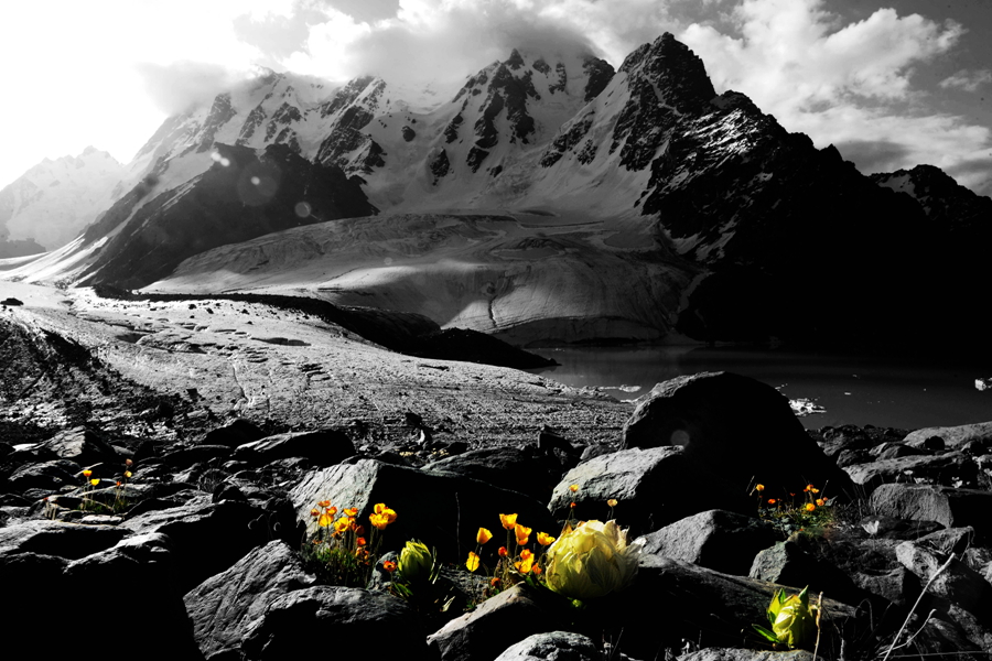 ѩ �� ��.jpg