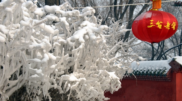 ����������  ������