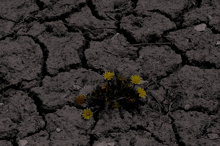 �ɿ� �� ��.jpg