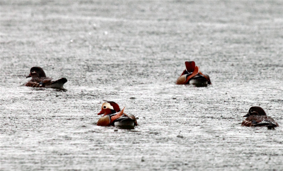 ����ԧ�� (1).jpg