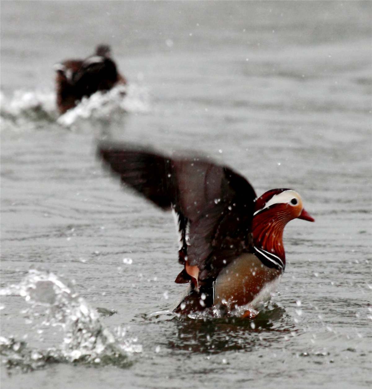 ���� (3).jpg