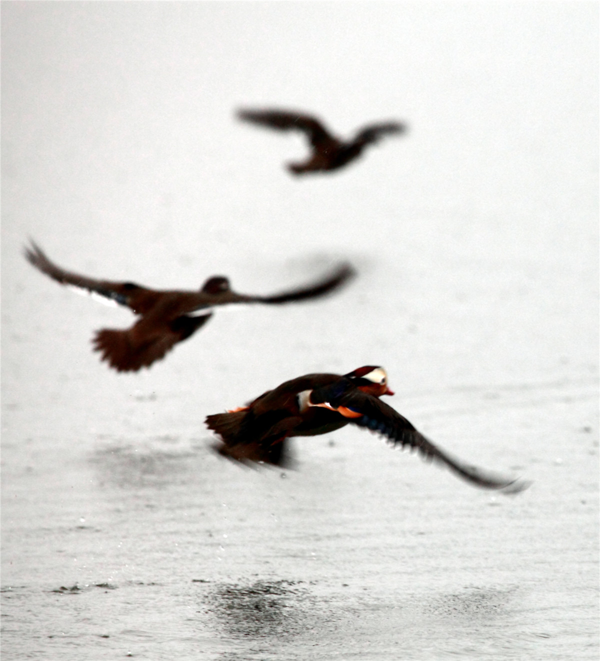 ���� (4).jpg