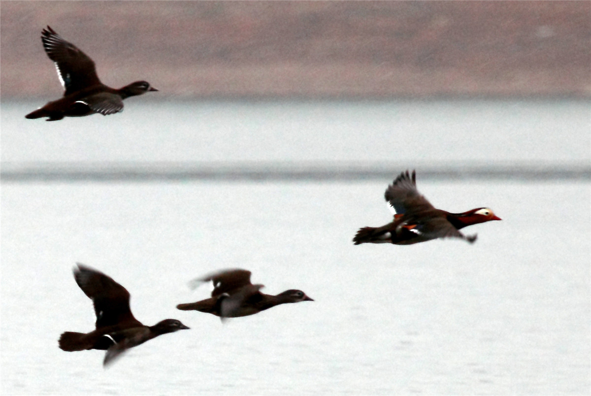 ���� (5).jpg