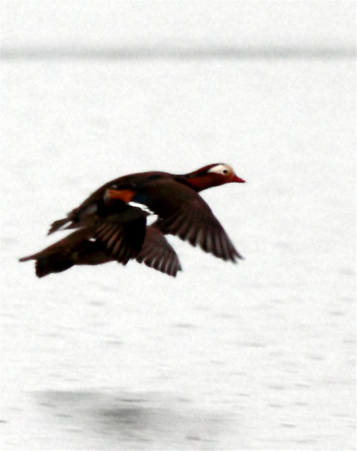 ���� (6).jpg