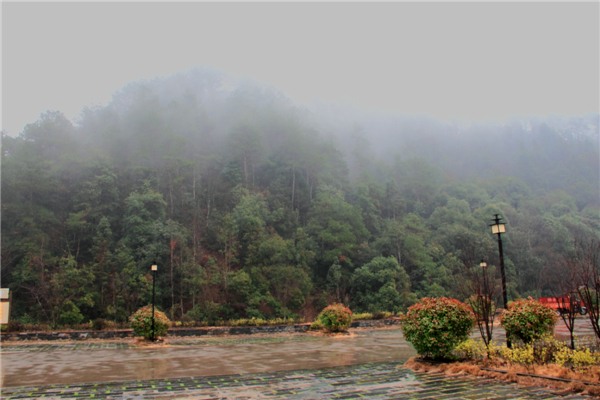 ���ϴ���ͮͮ (3).jpg